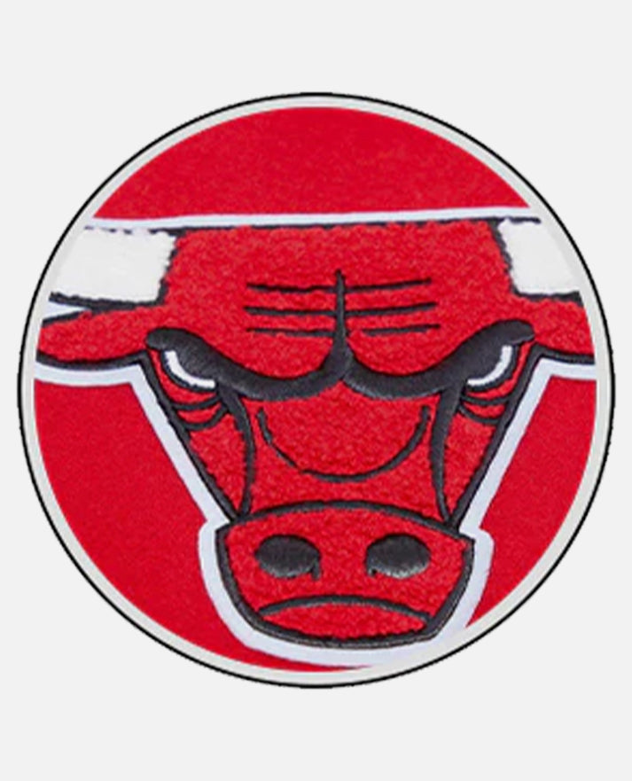 NBA Chicago Bulls Men's Red Varsity Leather Jacket - model wearing the jacket
