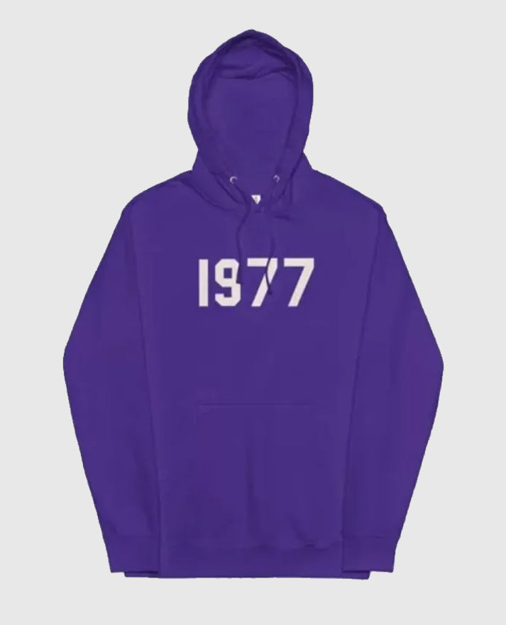 1977 Essentials Hoodie - view 4
